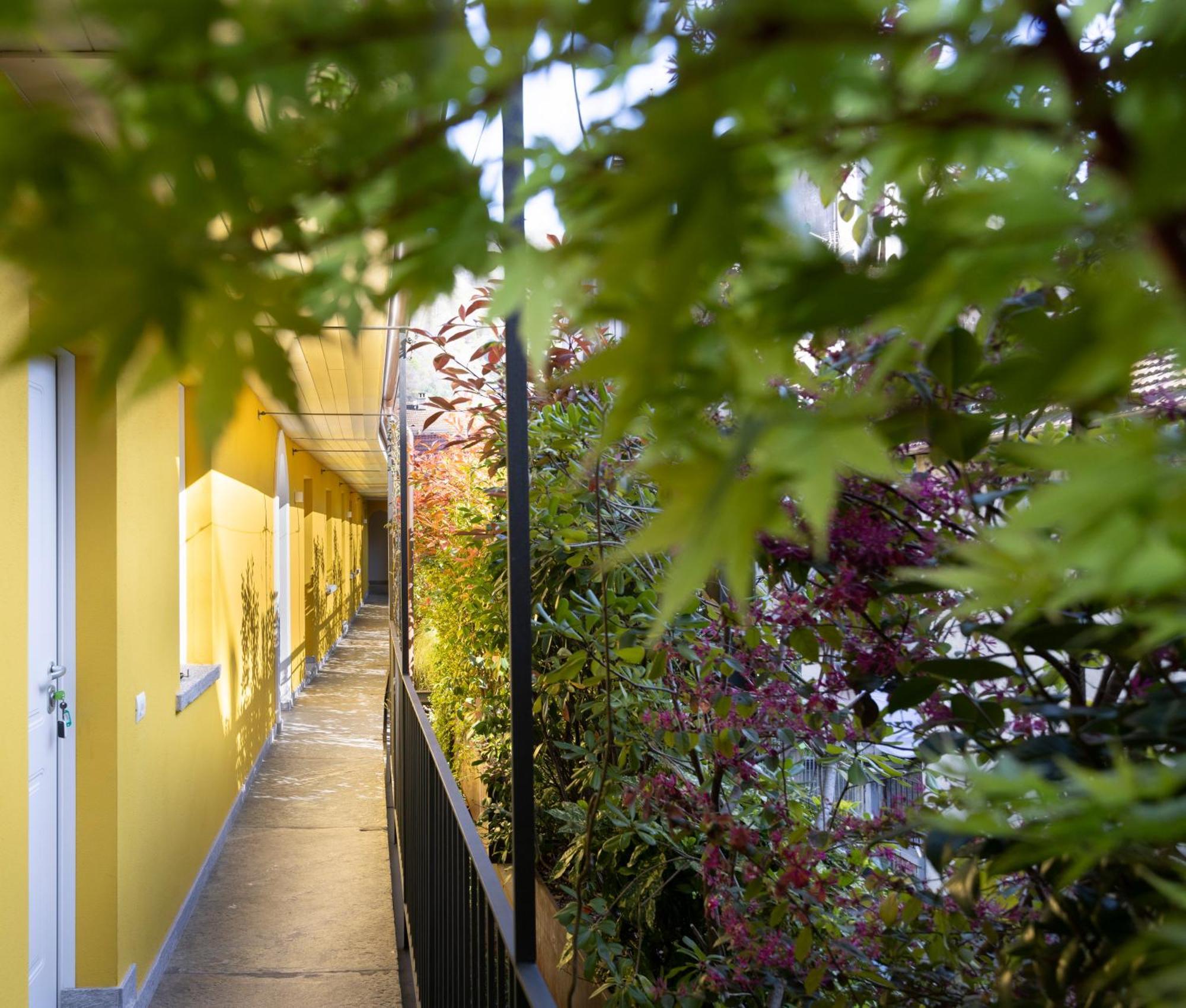 Residence Casa Coppa Appartamento Ivy Оменья Экстерьер фото